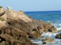 kreta_155