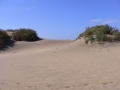 Maspalomas