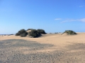 Maspalomas